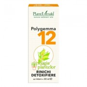 Polygemma 12 rinichi-detoxifiere 50 ML – PlantExtrakt